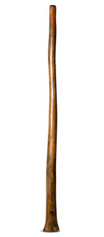Tristan O'Meara Didgeridoo (TM310)